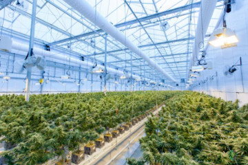 XIANG CHENG Electronic 5G modules for Smart Agriculture